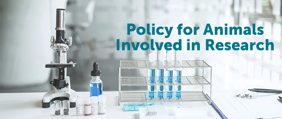 Animal Welfare Policy - Michelson Prize Grants | Found Animals Foundation | Research Grants Animal Welfare Policy - Michelson Prize Grants | Found Animals Foundation | Research Grants