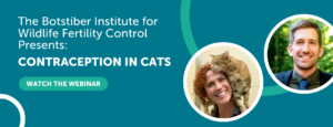 Botstiber Institute Contraception in Cats Webinar